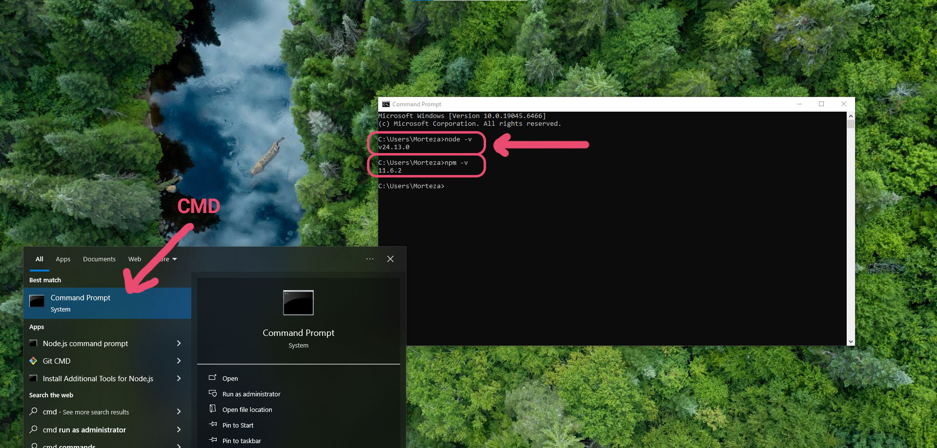 بررسی نصب صحیح Node.js و npm